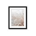 Picture of Frosted pampas grass _GroupedProduct_Rectangle_Portrait_Photography _GroupedProduct_Rectangle_Portrait_Framed_Matted_
