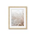 Picture of Frosted pampas grass _GroupedProduct_Rectangle_Portrait_Photography _GroupedProduct_Rectangle_Portrait_Framed_Matted_