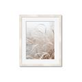 Picture of Frosted pampas grass _GroupedProduct_Rectangle_Portrait_Photography _GroupedProduct_Rectangle_Portrait_Framed_Matted_
