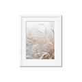 Picture of Frosted pampas grass _GroupedProduct_Rectangle_Portrait_Photography _GroupedProduct_Rectangle_Portrait_Framed_Matted_