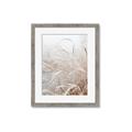 Picture of Frosted pampas grass _GroupedProduct_Rectangle_Portrait_Photography _GroupedProduct_Rectangle_Portrait_Framed_Matted_