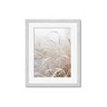 Picture of Frosted pampas grass _GroupedProduct_Rectangle_Portrait_Photography _GroupedProduct_Rectangle_Portrait_Framed_Matted_