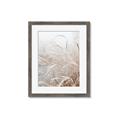 Picture of Frosted pampas grass _GroupedProduct_Rectangle_Portrait_Photography _GroupedProduct_Rectangle_Portrait_Framed_Matted_