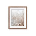 Picture of Frosted pampas grass _GroupedProduct_Rectangle_Portrait_Photography _GroupedProduct_Rectangle_Portrait_Framed_Matted_