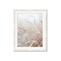 Picture of Frosted pampas grass _GroupedProduct_Rectangle_Portrait_Photography _GroupedProduct_Rectangle_Portrait_Framed_Matted_