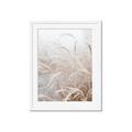 Picture of Frosted pampas grass _GroupedProduct_Rectangle_Portrait_Photography _GroupedProduct_Rectangle_Portrait_Framed_Matted_