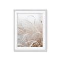 Picture of Frosted pampas grass _GroupedProduct_Rectangle_Portrait_Photography _GroupedProduct_Rectangle_Portrait_Framed_Matted_