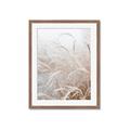 Picture of Frosted pampas grass _GroupedProduct_Rectangle_Portrait_Photography _GroupedProduct_Rectangle_Portrait_Framed_Matted_