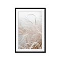 Picture of Frosted pampas grass _GroupedProduct_Rectangle_Portrait_Photography _GroupedProduct_Rectangle_Portrait_Framed_Matted_