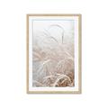 Picture of Frosted pampas grass _GroupedProduct_Rectangle_Portrait_Photography _GroupedProduct_Rectangle_Portrait_Framed_Matted_