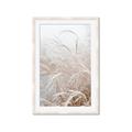 Picture of Frosted pampas grass _GroupedProduct_Rectangle_Portrait_Photography _GroupedProduct_Rectangle_Portrait_Framed_Matted_