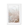 Picture of Frosted pampas grass _GroupedProduct_Rectangle_Portrait_Photography _GroupedProduct_Rectangle_Portrait_Framed_Matted_