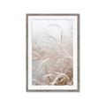 Picture of Frosted pampas grass _GroupedProduct_Rectangle_Portrait_Photography _GroupedProduct_Rectangle_Portrait_Framed_Matted_