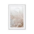 Picture of Frosted pampas grass _GroupedProduct_Rectangle_Portrait_Photography _GroupedProduct_Rectangle_Portrait_Framed_Matted_