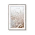 Picture of Frosted pampas grass _GroupedProduct_Rectangle_Portrait_Photography _GroupedProduct_Rectangle_Portrait_Framed_Matted_