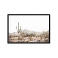 Picture of Photography Terrain _GroupedProduct_Rectangle_Landscape_Photography _GroupedProduct_Rectangle_Landscape_Framed_Matted_