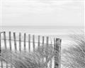 Picture of Past the Fence _GroupedProduct_Rectangle_Landscape_Photography _GroupedProduct_Rectangle_Landscape_Unframed_Print_Only_