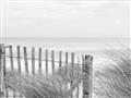 Picture of Past the Fence _GroupedProduct_Rectangle_Landscape_Photography _GroupedProduct_Rectangle_Landscape_Unframed_Print_Only_