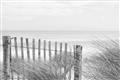 Picture of Past the Fence _GroupedProduct_Rectangle_Landscape_Photography _GroupedProduct_Rectangle_Landscape_Unframed_Print_Only_