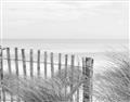 Picture of Past the Fence _GroupedProduct_Rectangle_Landscape_Photography _GroupedProduct_Rectangle_Landscape_Unframed_Print_Only_