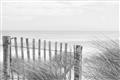 Picture of Past the Fence _GroupedProduct_Rectangle_Landscape_Photography _GroupedProduct_Rectangle_Landscape_Unframed_Print_Only_