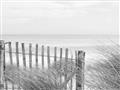 Picture of Past the Fence _GroupedProduct_Rectangle_Landscape_Photography _GroupedProduct_Rectangle_Landscape_Unframed_Print_Only_