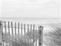 Picture of Past the Fence _GroupedProduct_Rectangle_Landscape_Photography _GroupedProduct_Rectangle_Landscape_Unframed_Print_Only_