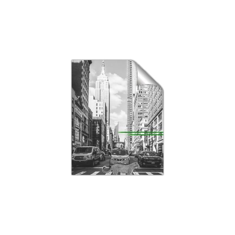 Picture of Big Cat on street of NY _GroupedProduct_Rectangle_Portrait_Unframed_Print_Only_