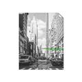Picture of Big Cat on street of NY _GroupedProduct_Rectangle_Portrait_Unframed_Print_Only_