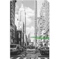 Picture of Big Cat on street of NY _GroupedProduct_Rectangle_Portrait_Unframed_Print_Only_