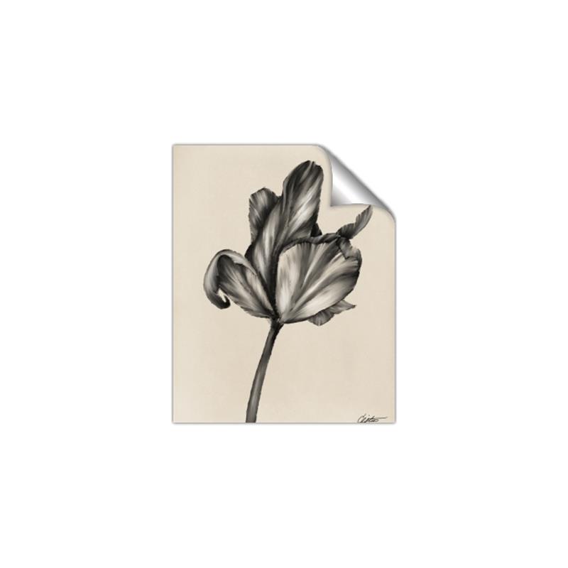 Picture of Spring-blooming _GroupedProduct_Rectangle_Portrait_Unframed_Print_Only_