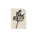 Picture of Spring-blooming _GroupedProduct_Rectangle_Portrait_Unframed_Print_Only_