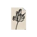 Picture of Spring-blooming _GroupedProduct_Rectangle_Portrait_Unframed_Print_Only_