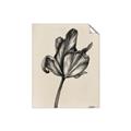 Picture of Spring-blooming _GroupedProduct_Rectangle_Portrait_Unframed_Print_Only_
