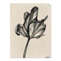 Picture of Spring-blooming _GroupedProduct_Rectangle_Portrait_Unframed_Print_Only_