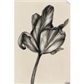 Picture of Spring-blooming _GroupedProduct_Rectangle_Portrait_Unframed_Print_Only_