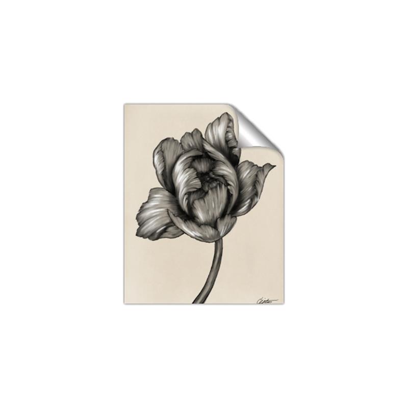 Picture of Spring-blooming II _GroupedProduct_Rectangle_Portrait_Unframed_Print_Only_