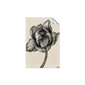 Picture of Spring-blooming II _GroupedProduct_Rectangle_Portrait_Unframed_Print_Only_