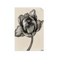 Picture of Spring-blooming II _GroupedProduct_Rectangle_Portrait_Unframed_Print_Only_