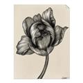 Picture of Spring-blooming II _GroupedProduct_Rectangle_Portrait_Unframed_Print_Only_