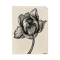 Picture of Spring-blooming II _GroupedProduct_Rectangle_Portrait_Unframed_Print_Only_