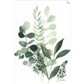 Picture of Green and Serene I _GroupedProduct_Rectangle_Portrait_Unframed_Print_Only_