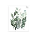 Picture of Green and Serene II _GroupedProduct_Rectangle_Portrait_Unframed_Print_Only_