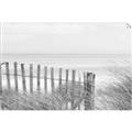 Picture of Past the Fence _GroupedProduct_Rectangle_Landscape_Photography _GroupedProduct_Rectangle_Landscape_Unframed_Print_Only_