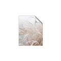 Picture of Frosted pampas grass _GroupedProduct_Rectangle_Portrait_Photography _GroupedProduct_Rectangle_Portrait_Unframed_Print_Only_