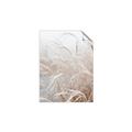 Picture of Frosted pampas grass _GroupedProduct_Rectangle_Portrait_Photography _GroupedProduct_Rectangle_Portrait_Unframed_Print_Only_