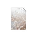 Picture of Frosted pampas grass _GroupedProduct_Rectangle_Portrait_Photography _GroupedProduct_Rectangle_Portrait_Unframed_Print_Only_