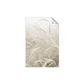 Picture of Frosted pampas grass _GroupedProduct_Rectangle_Portrait_Photography _GroupedProduct_Rectangle_Portrait_Unframed_Print_Only_