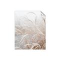 Picture of Frosted pampas grass _GroupedProduct_Rectangle_Portrait_Photography _GroupedProduct_Rectangle_Portrait_Unframed_Print_Only_