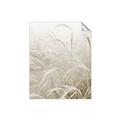 Picture of Frosted pampas grass _GroupedProduct_Rectangle_Portrait_Photography _GroupedProduct_Rectangle_Portrait_Unframed_Print_Only_